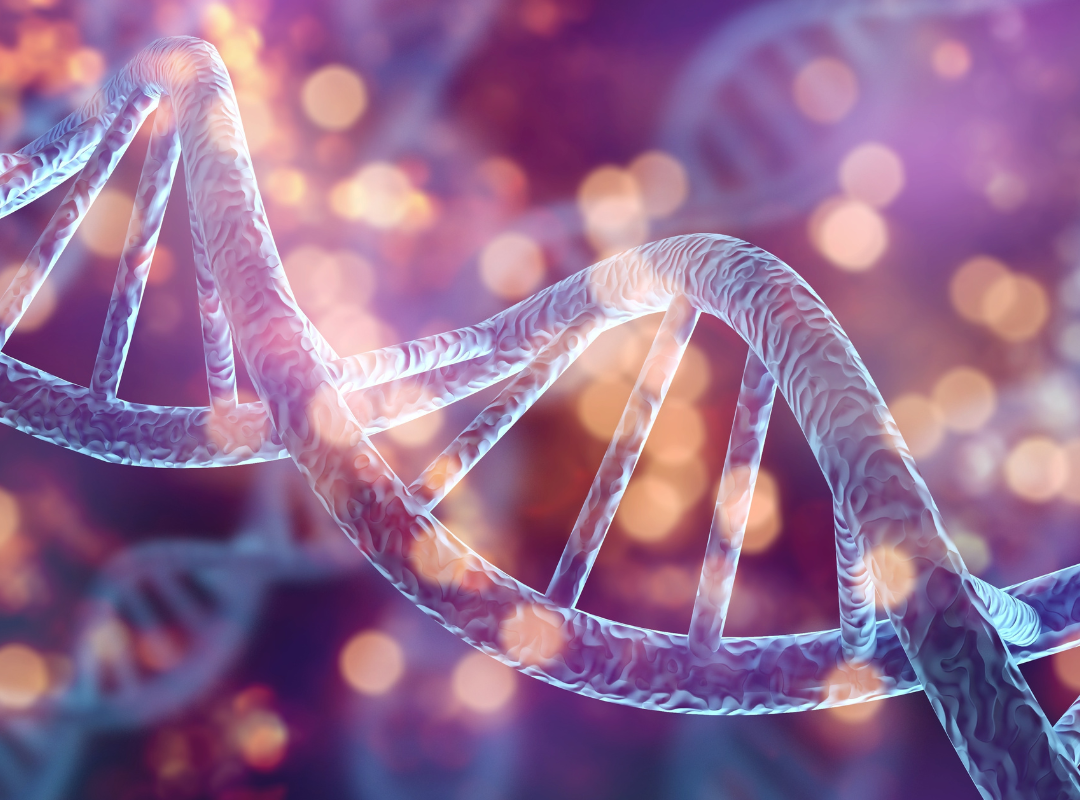 Hair Health and Science: Understanding Hair Structure